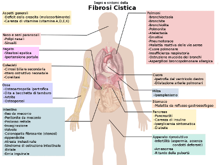 fibrosi_cistica
